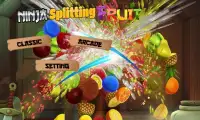 Ninja Splitting fruit Screen Shot 2