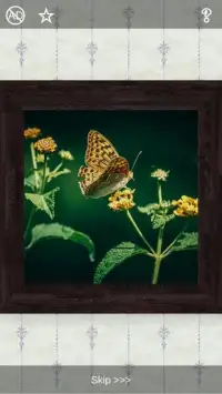 Butterflies Puzzles - 101 pictures Screen Shot 13