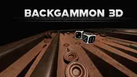 Backgammon 3D Screen Shot 3