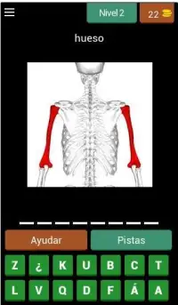 Quiz de Anatomía Screen Shot 15
