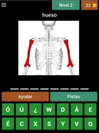 Quiz de Anatomía Screen Shot 4
