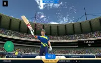 Srilanka Cricket Champions Screen Shot 4