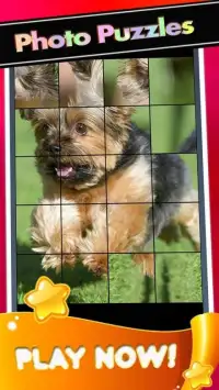 Puppies Yorkshire Pictures-Dog Animal Puzzle Game Screen Shot 4