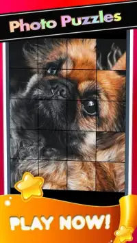 Puppies Yorkshire Pictures-Dog Animal Puzzle Game Screen Shot 1