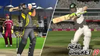 Real Cricket Championship 2019 Screen Shot 3