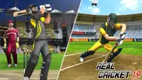 Real Cricket Championship 2019 Screen Shot 2