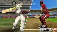 Real Cricket Championship 2019 Screen Shot 1