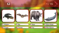 Animal Sounds & Animal Names Screen Shot 8