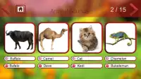 Animal Sounds & Animal Names Screen Shot 7