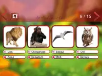 Animal Sounds & Animal Names Screen Shot 3