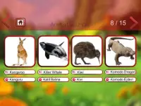 Animal Sounds & Animal Names Screen Shot 4