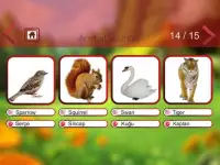 Animal Sounds & Animal Names Screen Shot 0