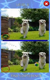 Find the 5 Differences : Spot on puppy Screen Shot 2