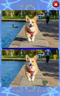 Find the 5 Differences : Spot on puppy Screen Shot 0