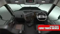 Truck Driving Simulator : Euro Truck Screen Shot 0