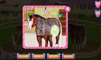 Horse and pony caring Screen Shot 4