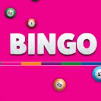 The Mecca of Bingo Games!