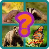 Guess The Animal Picture