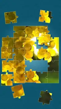 Fruits Game: Jigsaw Puzzle Screen Shot 10