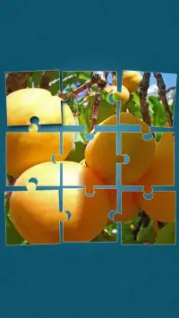 Fruits Game: Jigsaw Puzzle Screen Shot 5