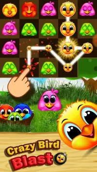Crazy birds blast - match birds game Screen Shot 4