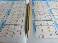 Sudoku Game Screen Shot 1