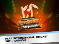 Indian Cricket League 2019: World Premier Cup Screen Shot 1