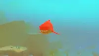 3D Fish Feeding and Grow : Hungry Fish Simulator Screen Shot 0