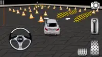 3D Car Parking Screen Shot 1