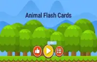 Animal Flash Cards Screen Shot 4