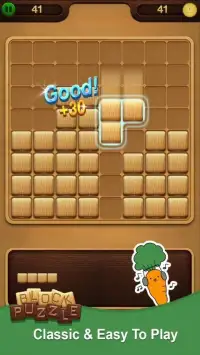 Wooden Block Puzzle: Classic Block Game Screen Shot 28