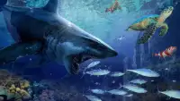 Angry Shark Evolution: Shark World - Shark Attack Screen Shot 0
