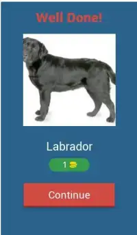 Dog Quiz - The popular dog breeds in the world Screen Shot 29