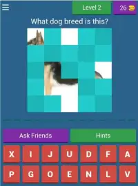Dog Quiz - The popular dog breeds in the world Screen Shot 8