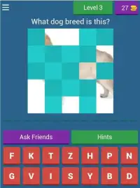 Dog Quiz - The popular dog breeds in the world Screen Shot 6