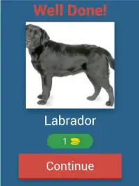 Dog Quiz - The popular dog breeds in the world Screen Shot 19