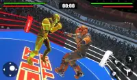 Robot Ring Fighting SuperHero Robot Fighting Game Screen Shot 0