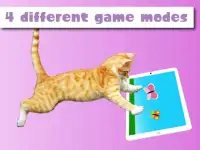 HappyCats games for cats Screen Shot 2