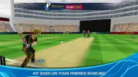 Cricket Multiplayer Screen Shot 5
