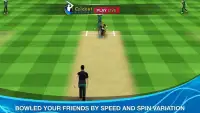 Cricket Multiplayer Screen Shot 6