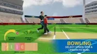 Cricket Multiplayer Screen Shot 3