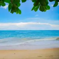 Tropical beaches Jigsaw puzzles ☀️* Screen Shot 1