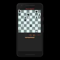 Chess For Beginners Screen Shot 1