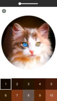 Cat Photography Color By Number - Pixel Art Screen Shot 2