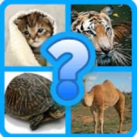 Scientific name quiz-Animals