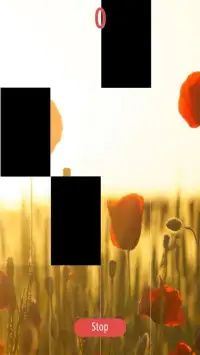 Piano Noir Ladybug Game Screen Shot 3