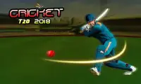 Cricket t20 2018 Screen Shot 0