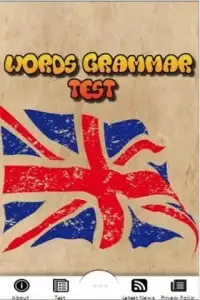 Words Grammar Test Screen Shot 2