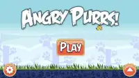 Angry Purrs Screen Shot 1