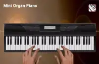 Mini Organ Piano Screen Shot 4
